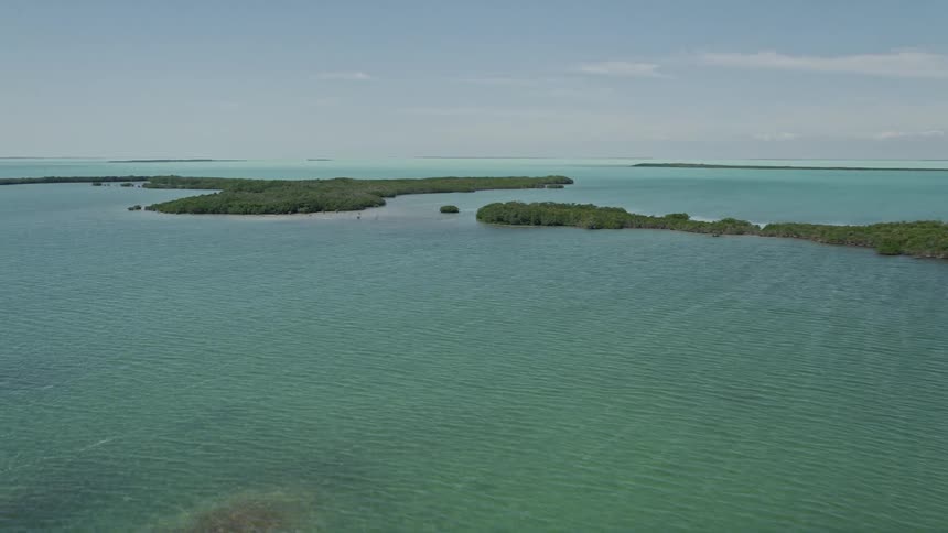 A breathtaking aerial view of coastal mangroves in Key Largo Florida captured on a sunny day during the summer season