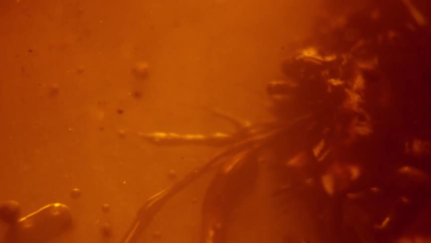 A view of liquid flowing around