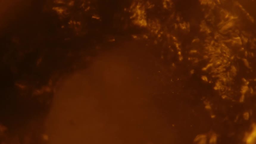 Rough ring shaped bubble studded mass vibrates in murky orange fluid