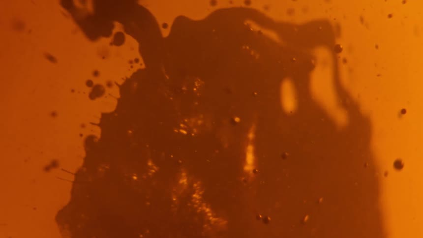 A viscous gel like substance floats in liquid