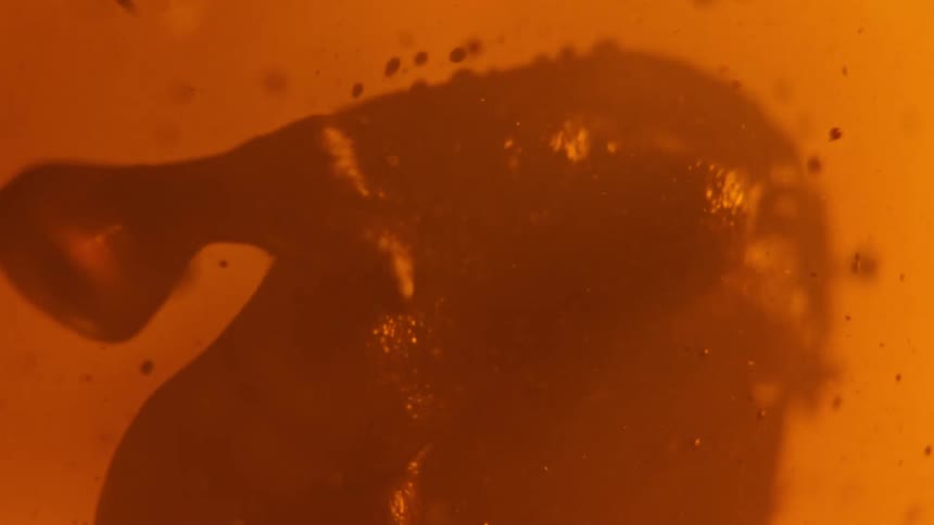 An abstract special effect of red paint moving around in a liquid substance