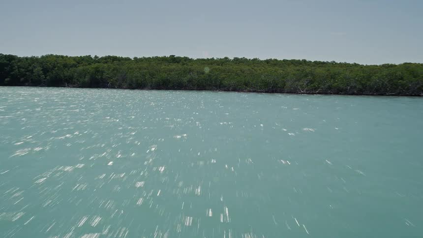 Flying over crystal clear waters towards an island with lush forest cover then soaring over to reveal the breathtaking mangroves near the shore of Tavernier FL