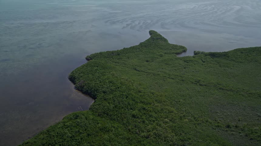 An aerial view of the Mangrove Preserve in Homestead Florida showing the lush mangroves and coastline during a sunny day in summer