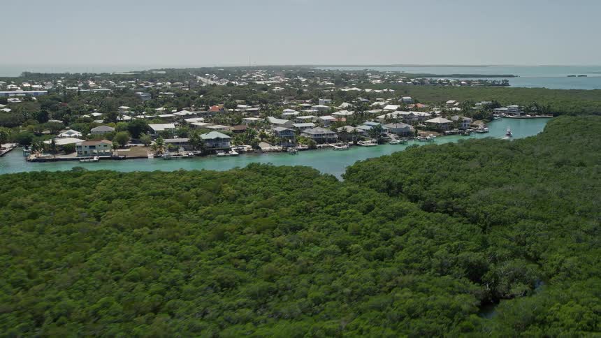 Low flying over mangroves towards residential homes in the coastal community of Tavernier Florida