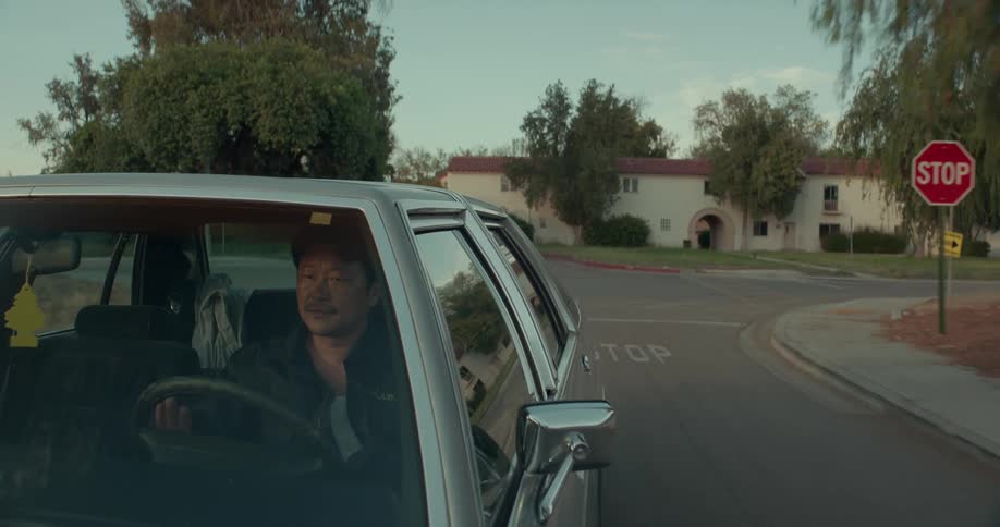 A man is driving a car through a neighborhood in spring