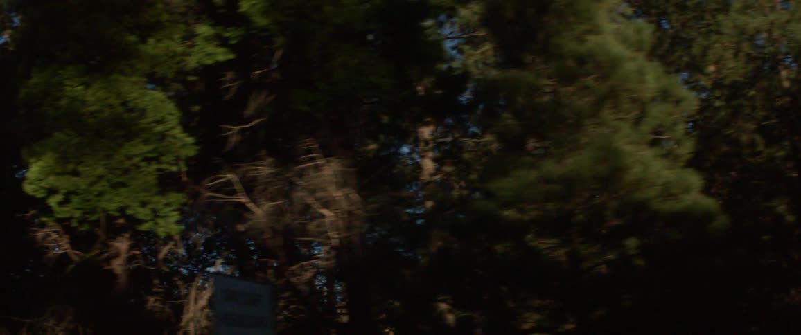 Camera inside of car showing the view of the mountain and trees