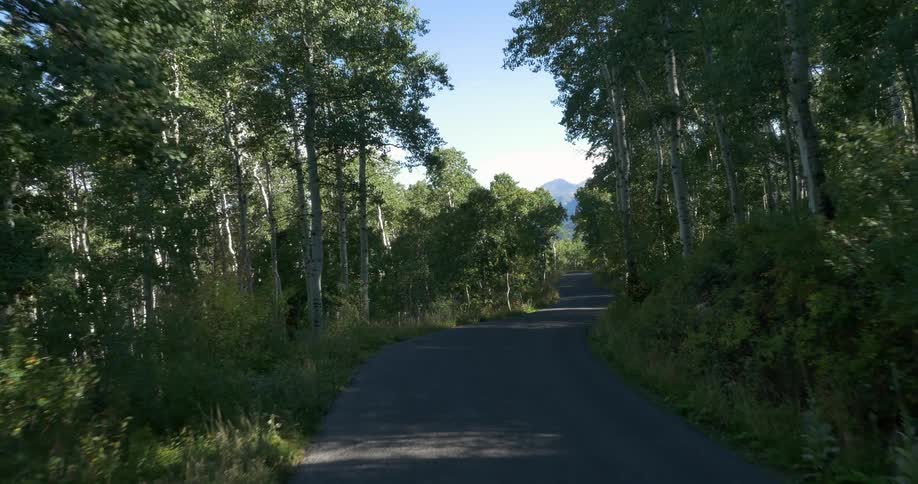 Moving down a small road surrounded by trees