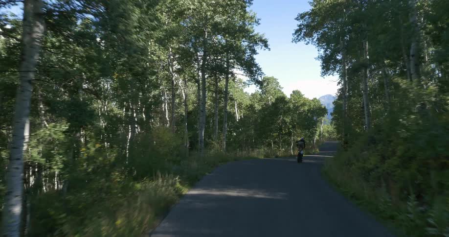 A man stands and balances on a motorcycle in a forested area