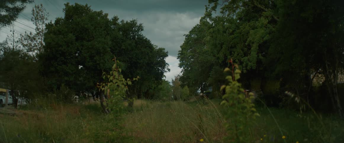 An unkempt field between houses in a residential area on a cloudy day