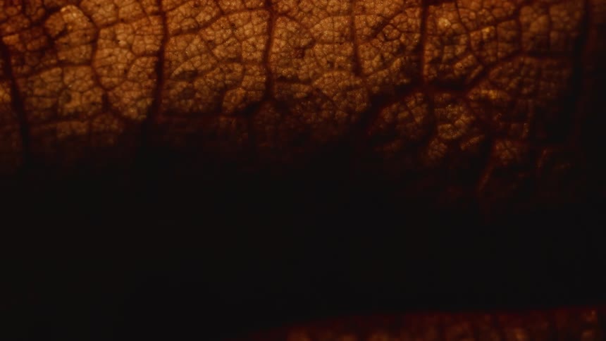 A close up of a gray textured surface with a shadow cast across it