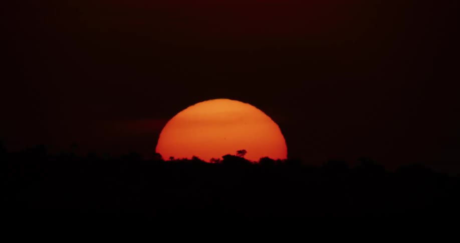 An animal stands on rocks under an orange moon