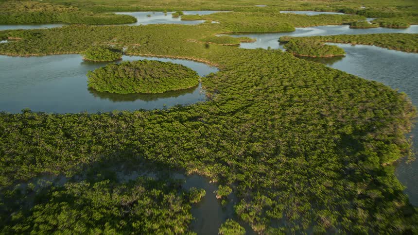 Flying over a beautiful network of mangroves and islands at dusk during sunset in Long Key Florida