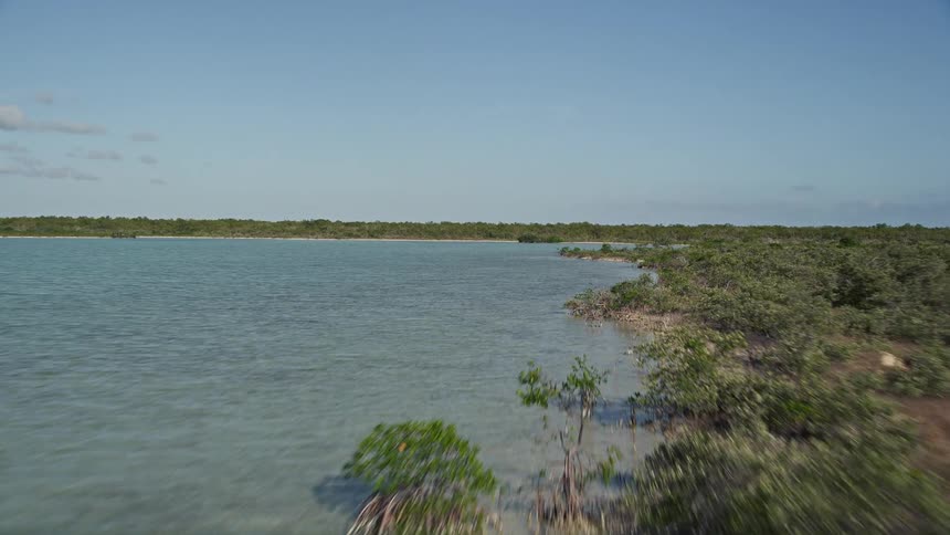 Aerial footage of flying over mangroves and the shoreline of Upper Sugarloaf Key Florida