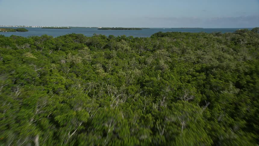 Aerial footage of flying over Cudjoe Bay in Florida with a tilt up to reveal mangroves and Cudjoe Key