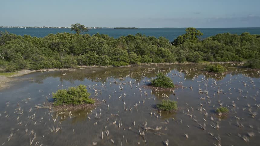 Flying low over the wetlands and seashores of Upper Sugarloaf Key Florida revealing the beauty of the mangroves bays and marshlands