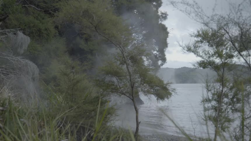 Mist rises from a lake near a forest