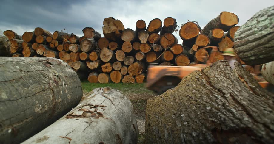 A vehicle drives through a lumber yard