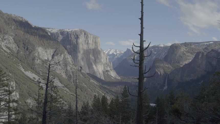 Mountains and trees on a sunny day