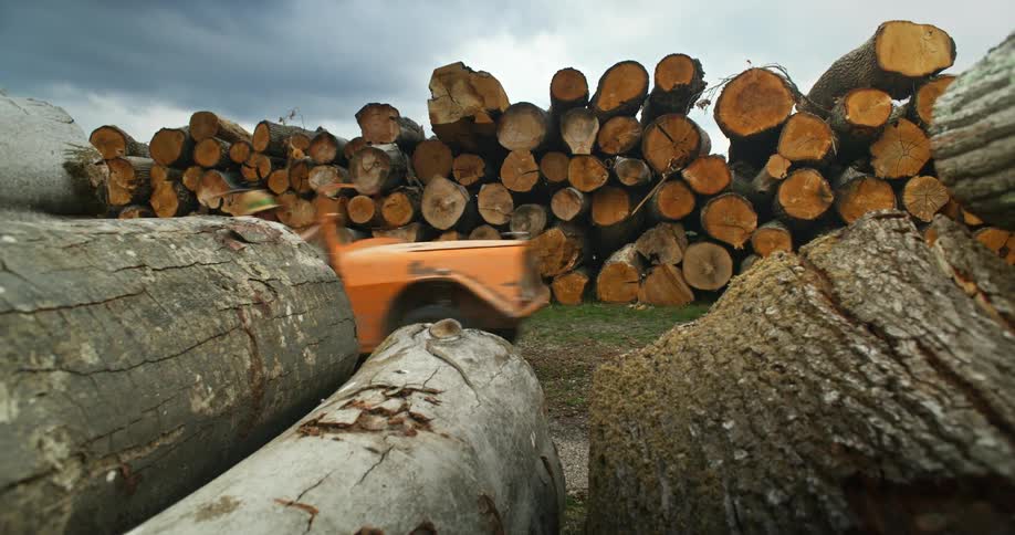 A car passes quickly between rows of cut wooden logs