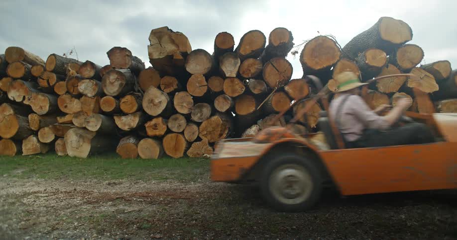 Man with hat and shirt drives terrain vehicle near the logs