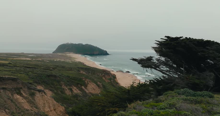 Coastal beach view behind trees