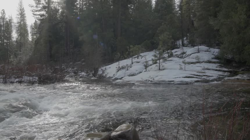A flowing stream of water in a snowy area with trees