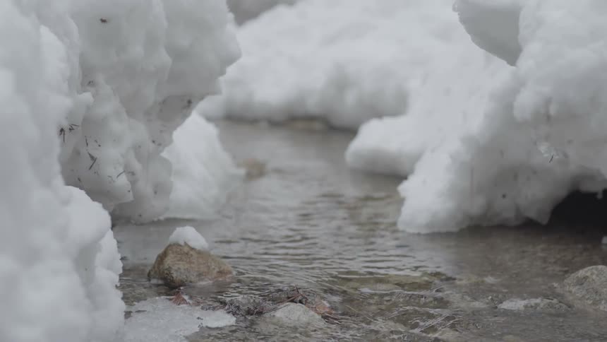 Water trickles in a stream banked by snow