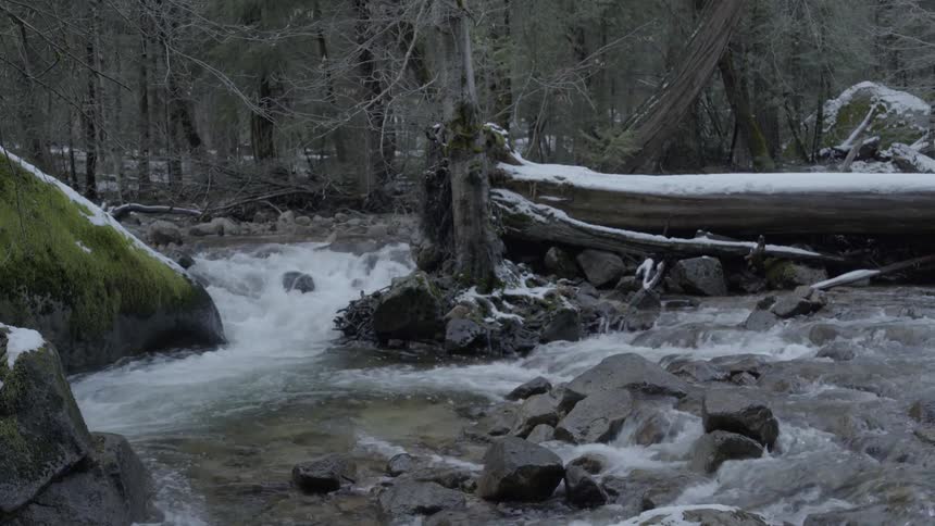 Water streaming through rocks in a forest area