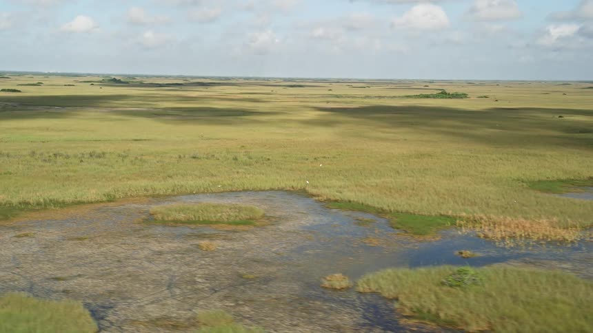 Flying over the wetlands and marshland of Floridas Everglades taking in the natural landmarks and stunning aerial views