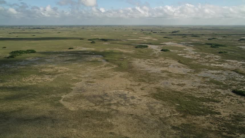 Aerial view of marshland in the Florida Everglades showcasing the vast landscape of wetlands and sloughs