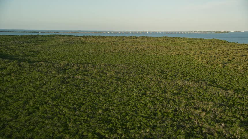Aerial footage of flying over mangroves approaching Overseas Highway bridge at sunset over the Long Key coast in Florida