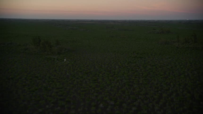 Flying over Southern Glades wetlands at twilight in Florida with lush green vegetation and wide open horizon