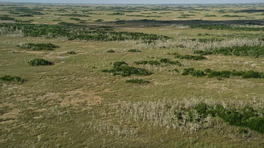 An aerial tour showcasing the stunning marshlands of Floridas Everglades enjoyed by tourists and nature enthusiasts for its scenic wetlands and natural landmarks