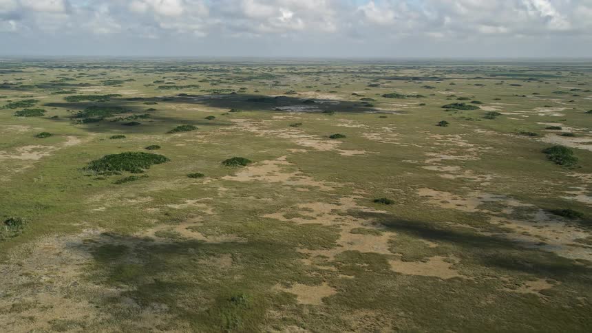 An aerial view of the Florida Everglades captured during the day while partly cloudy skies hover above the marshland