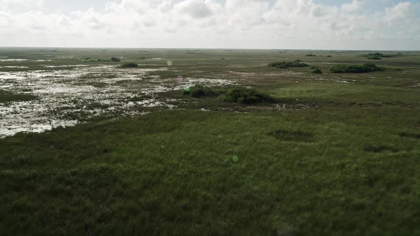 An aerial view of marshland and wetlands in Floridas famous Everglades perfect for sightseeing recreation and tourism