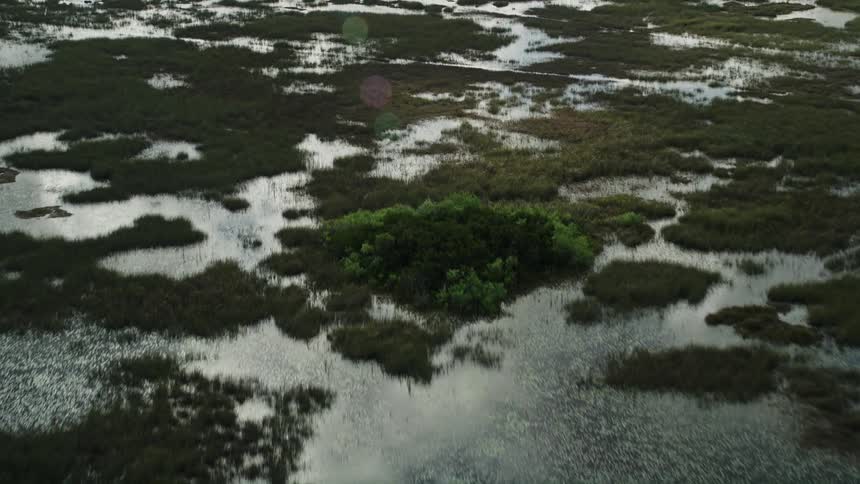 A breathtaking aerial view of the Florida Everglades with its famous marshland and wetlands stretching far and wide