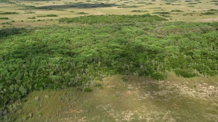 Approaching the famous Florida Everglades wetlands by aerial view showcasing the stunning natural landmark of South Florida