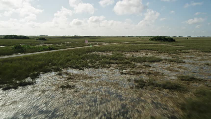 An aerial view of a scenic Florida road running through lush wetlands and marshes in the Everglades