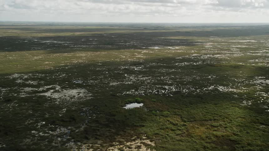 Experience the breathtaking beauty of the Florida Everglades from up high as you fly over the marshlands in this 5K aerial footage