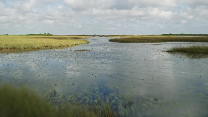 A breathtaking Florida Everglades aerial of marshland with waterways winding through tall grass and trees filmed during the day from a low altitude