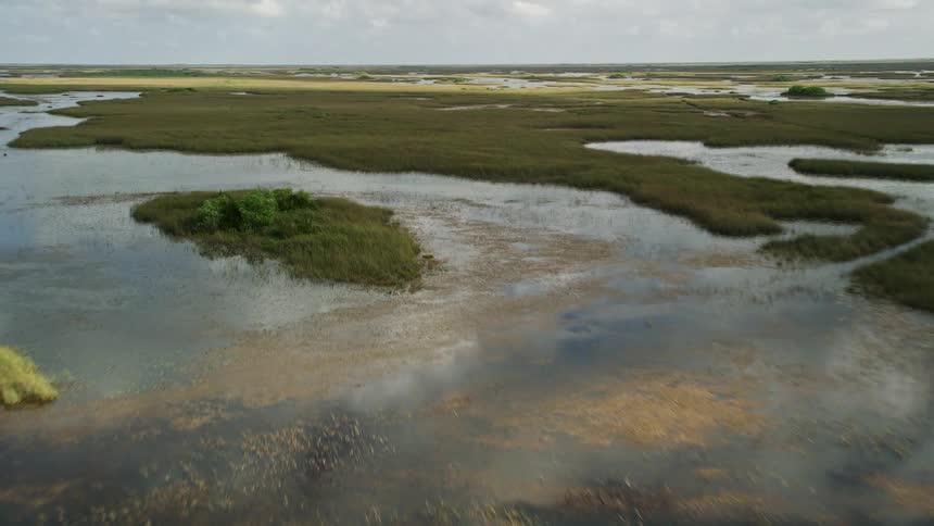 Flying over the famous Florida Everglades this clip captures a stunning low-altitude view of the marshlands and grassy wetlands below
