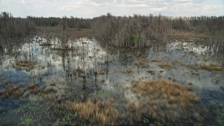 Low flying aerial footage showcases bare trees and swampland reflecting the cloudy sky and wetlands in Orlando Florida during spring or summer