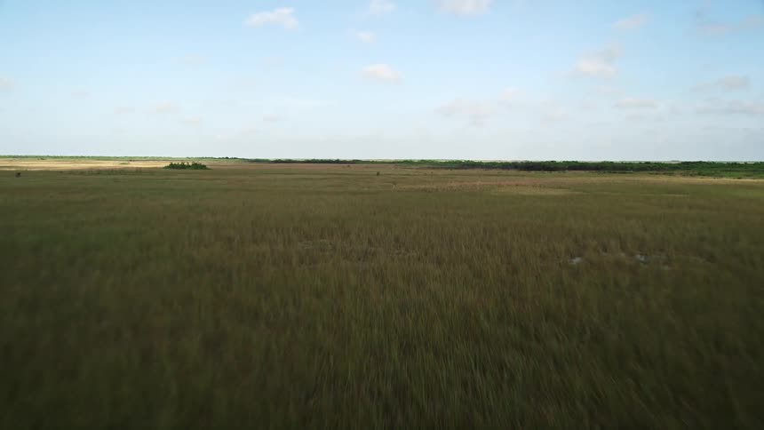 Flying low over Florida Everglades marshlands and trees capturing the breathtaking views of wetlands famous for natural landmarks and sloughs