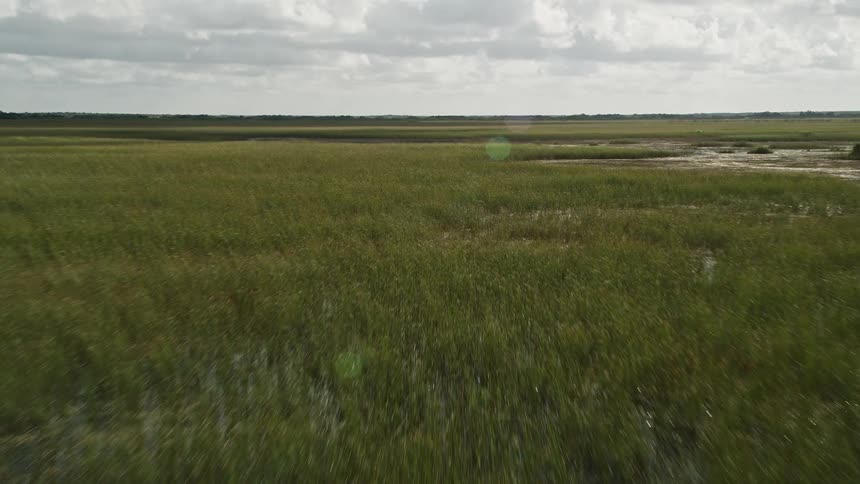 Low flying aerial view of marshland and wetlands in Florida Everglades during the day