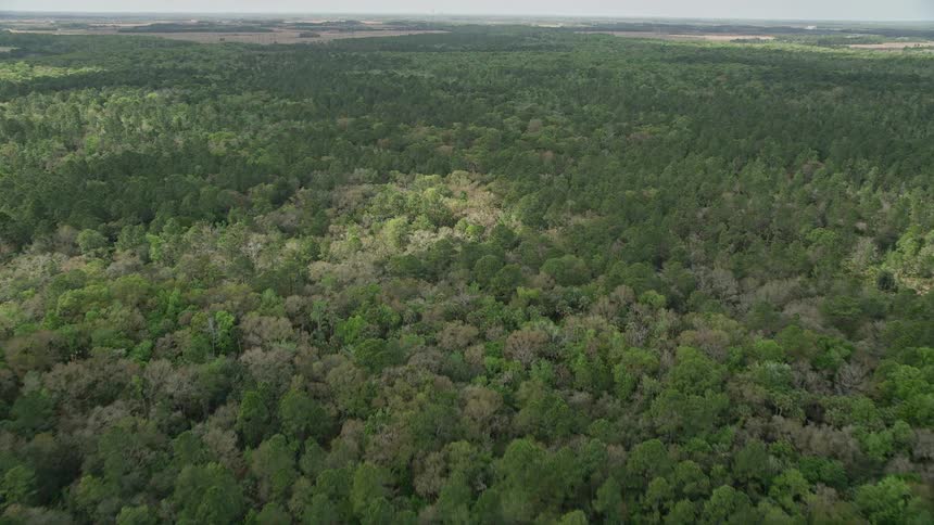 Aerial footage flying over a dense deciduous forest in La Belle Florida on a partly cloudy day