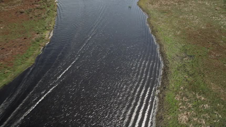 Aerial view of speedboat racing down a river surrounded by marshland with visible flocks of birds
