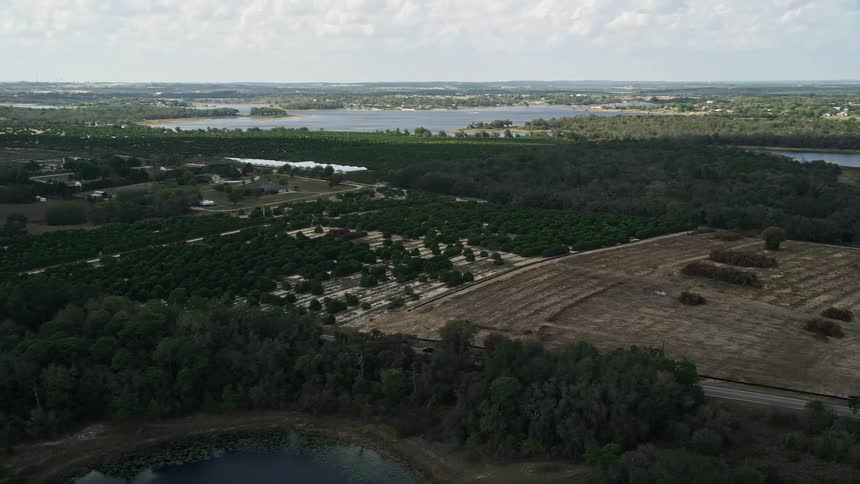 A stunning 5K aerial view of an orchard and fields passing by on the shoreline of Johns Lake in Florida