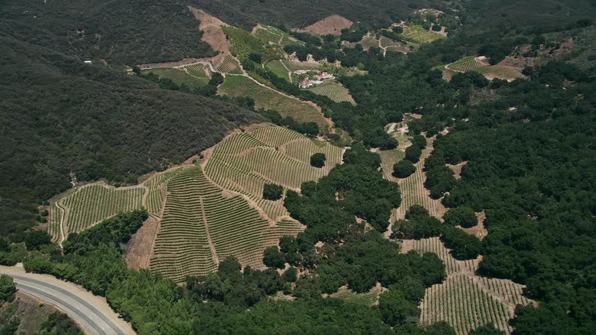A stunning aerial view of Malibus rustic vineyards and wineries nestled in the hills of Southern California
