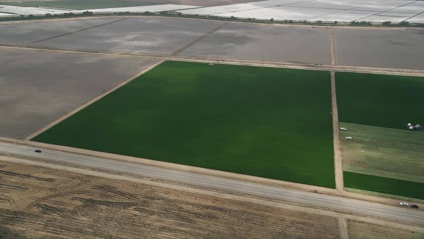 Aerial footage of tractors moving through green crops beside a country road in Camarillo Southern California
