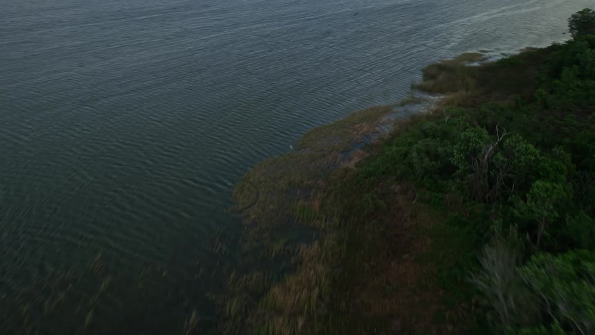Aerial view of birds flying along the shore of Lake Apopka Florida during a partly cloudy day